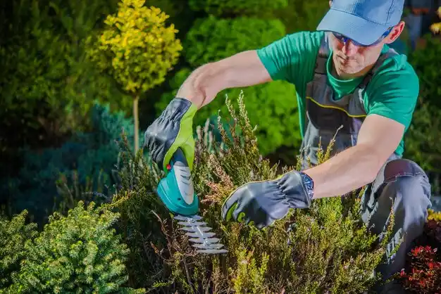 landscaping services Southaven